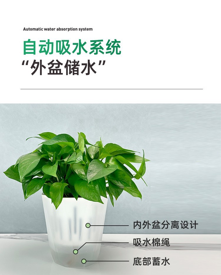 a257cdef-de16-4351-aba3-028febf60f1f.jpe