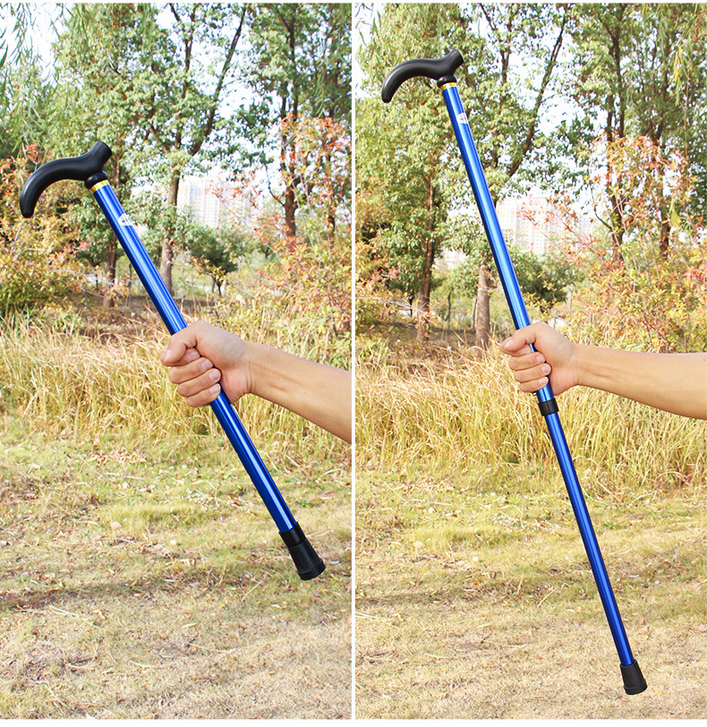 c26e609b-668b-48c7-b385-334ea5505a5d.jpe