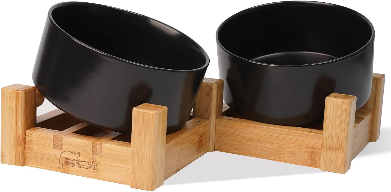 61pOzoaBJOL._AC_SL1500_