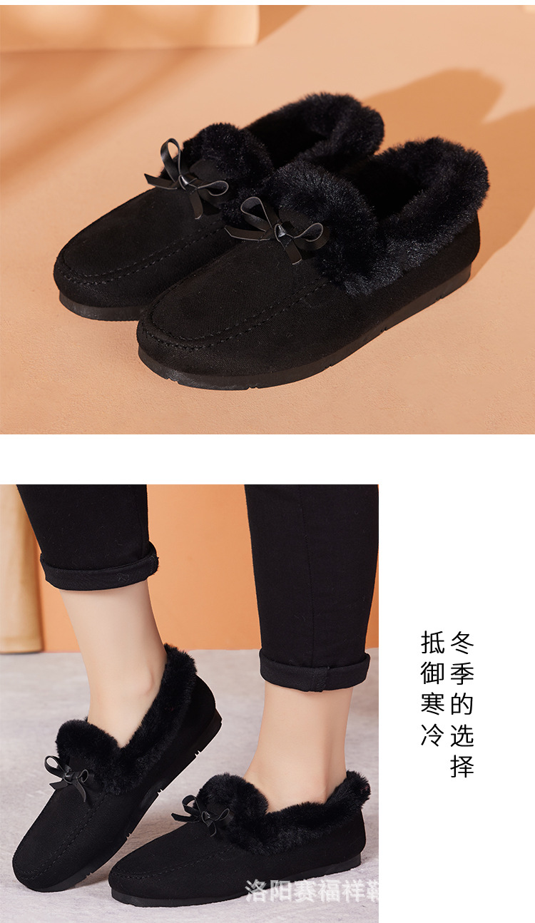 翻毛蝴蝶_12.jpg