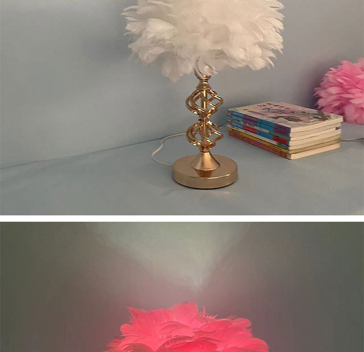 T6002羽毛台灯详情图_09.jpg