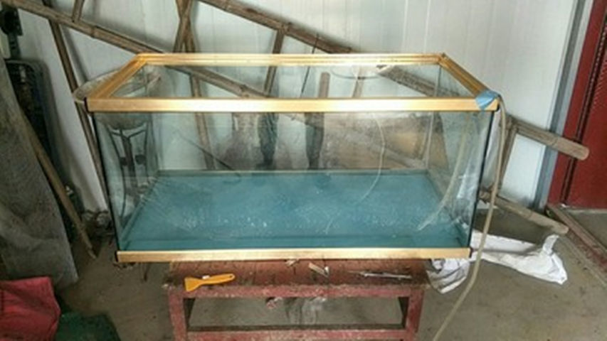 90a58419-69b2-4381-b6e9-e56755be62d7.jpe