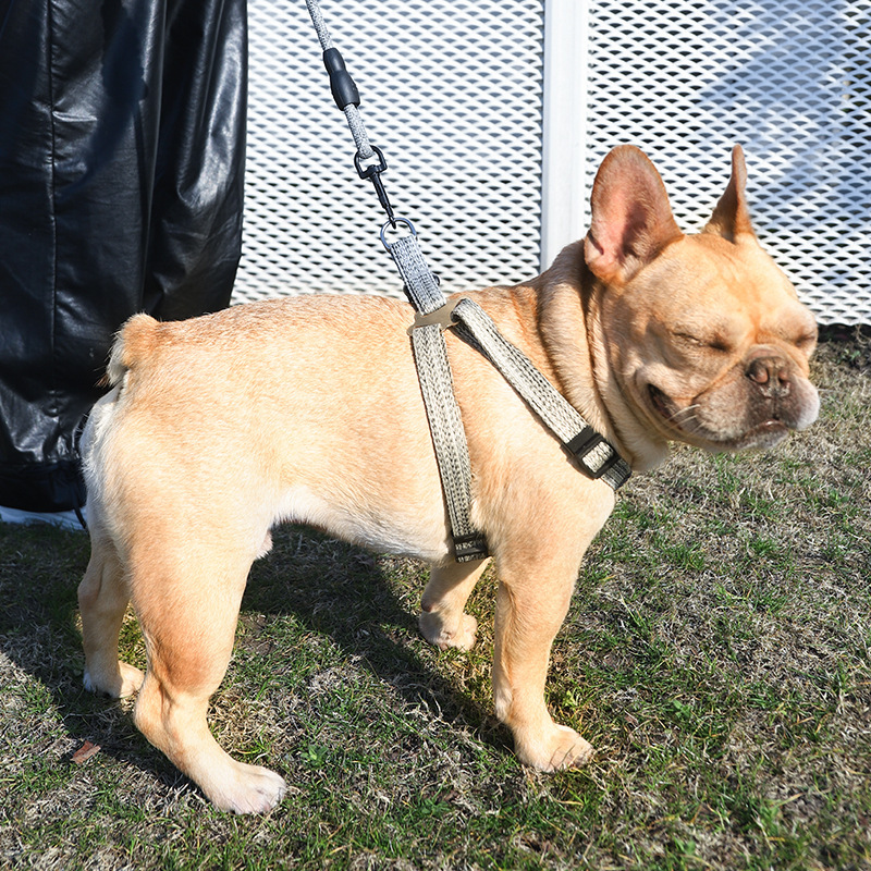 O1CN015x4nVy2IOSeR9Sux2_!!9731