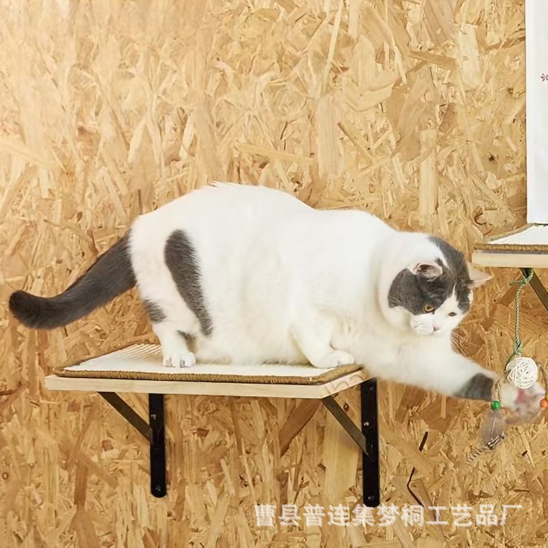 微信图片_202410141434021.jpg