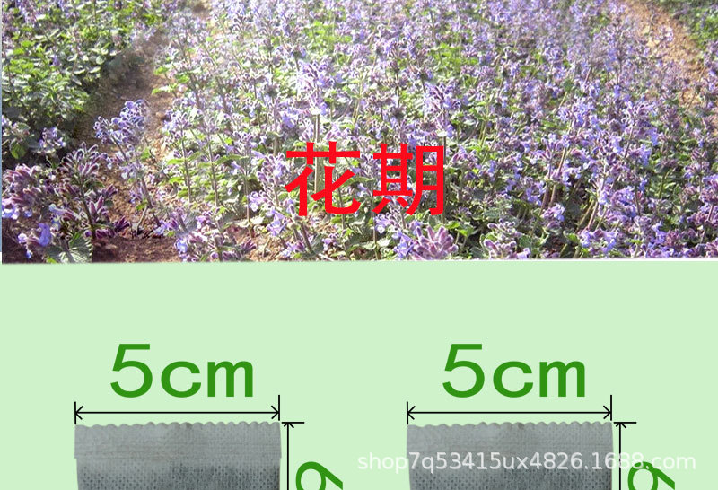 1克5x6无纺布袋装猫薄荷