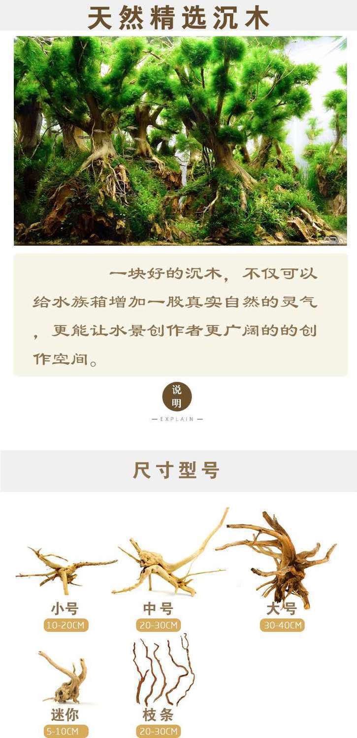 30d31d16-c9ca-4d6d-b158-078aad722413.jpe