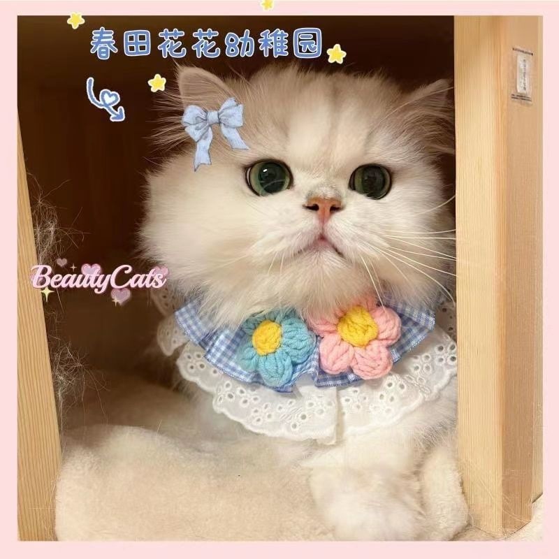 c3bb1845-5f7e-4849-8f6f-1f8dd93f78ea.jpe