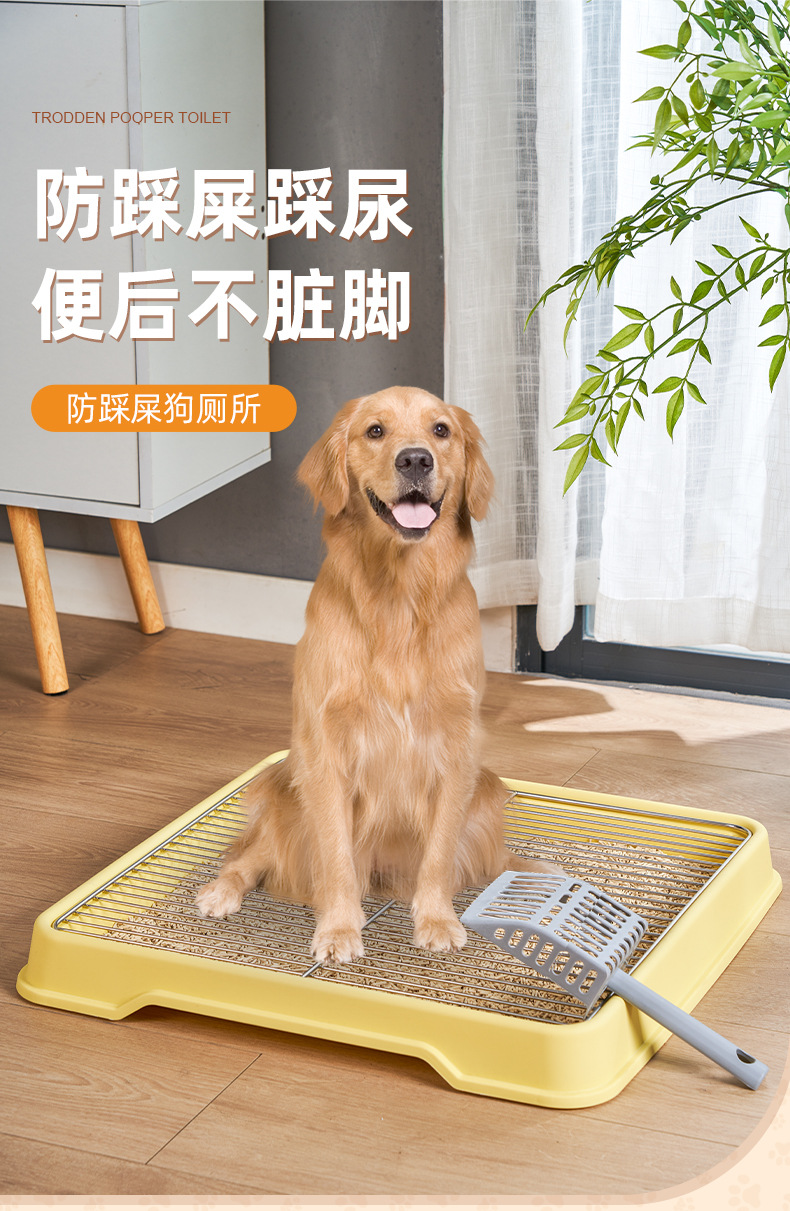 详情_01.jpg