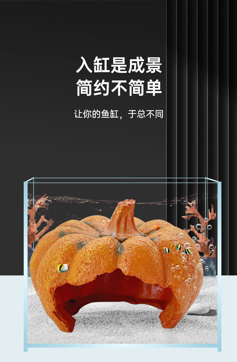南瓜详情_03.jpg
