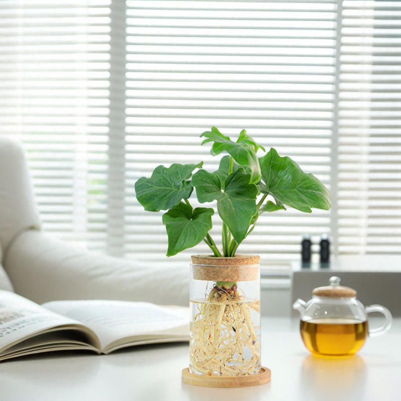 02789fcb-a909-4caa-b63e-5e50d506f80b.jpe