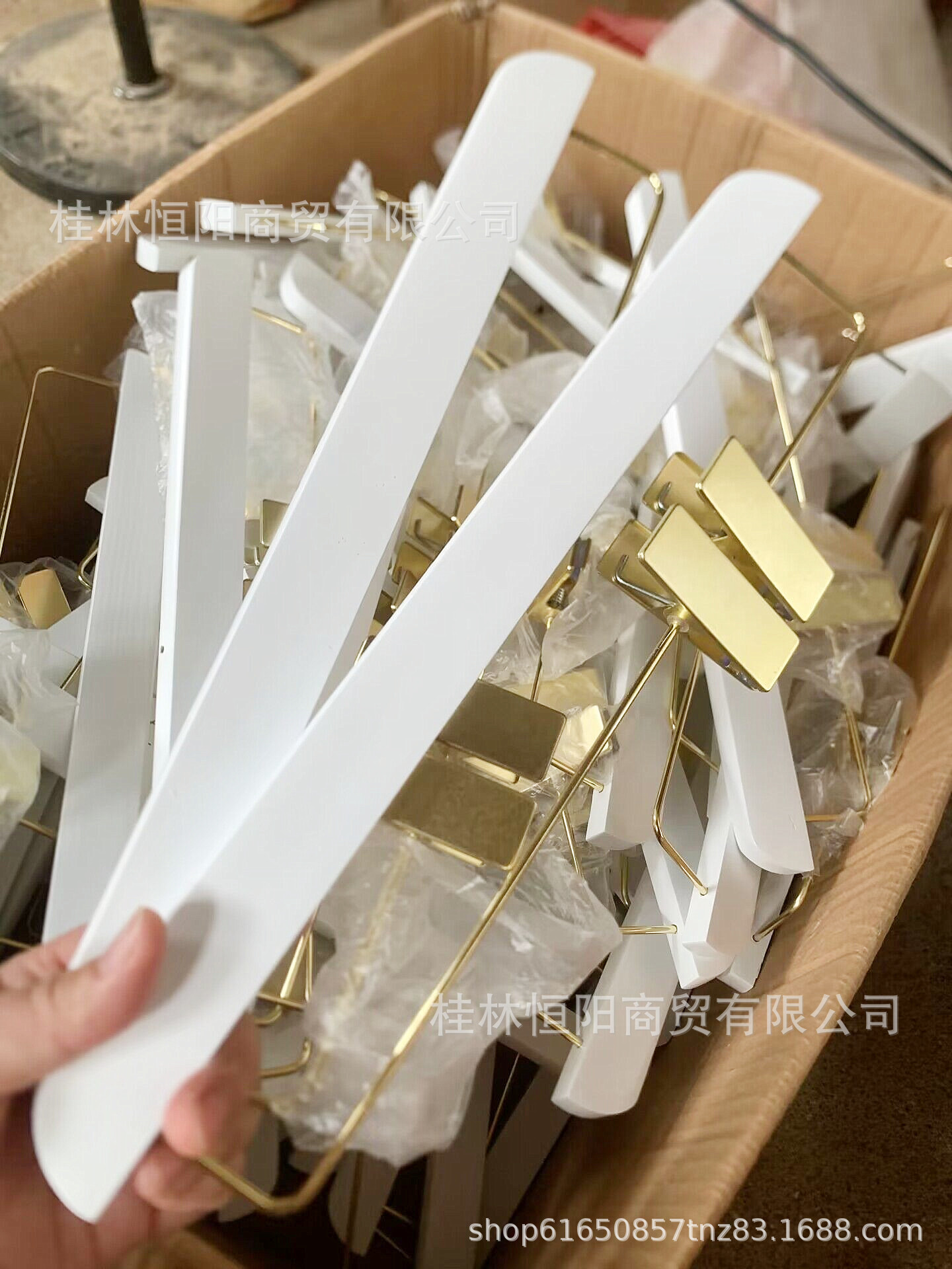 QQ图片20230620142911