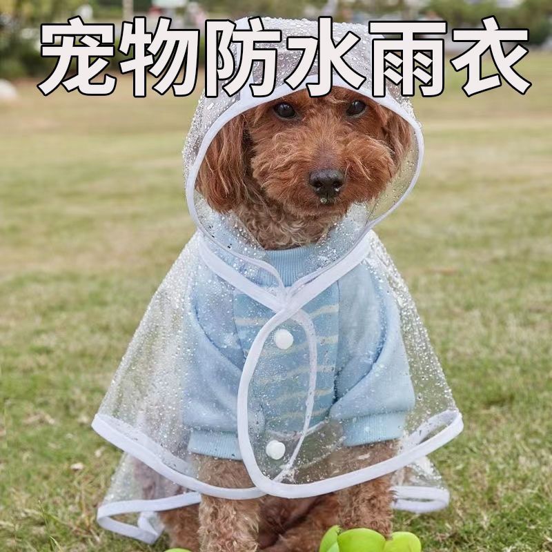 252d58bd-814b-4b47-b87c-d1e08d0bc36f.jpe