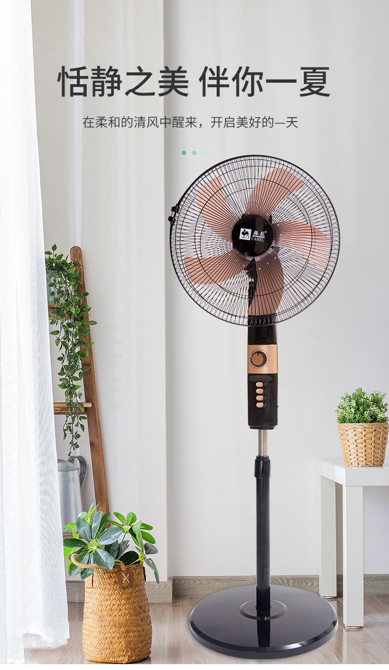 e5a50999-c0b5-42a2-97f9-ac67747ad945.jpe