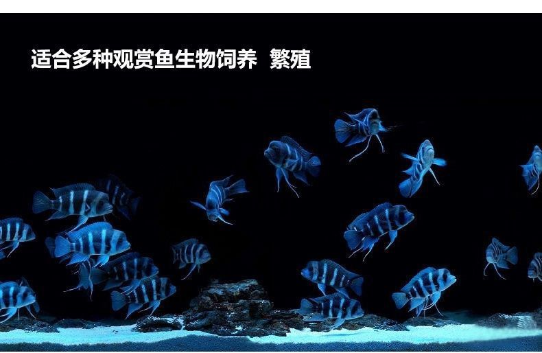 e6858d17-f3ad-4927-98d1-f1902ddc956c.jpe