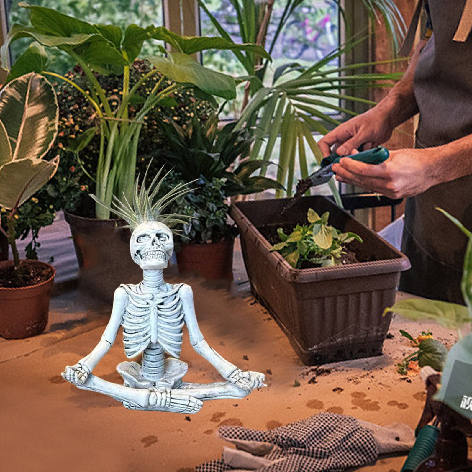 O1CN01lSdEqy1sB18pXBwPu_!!2209