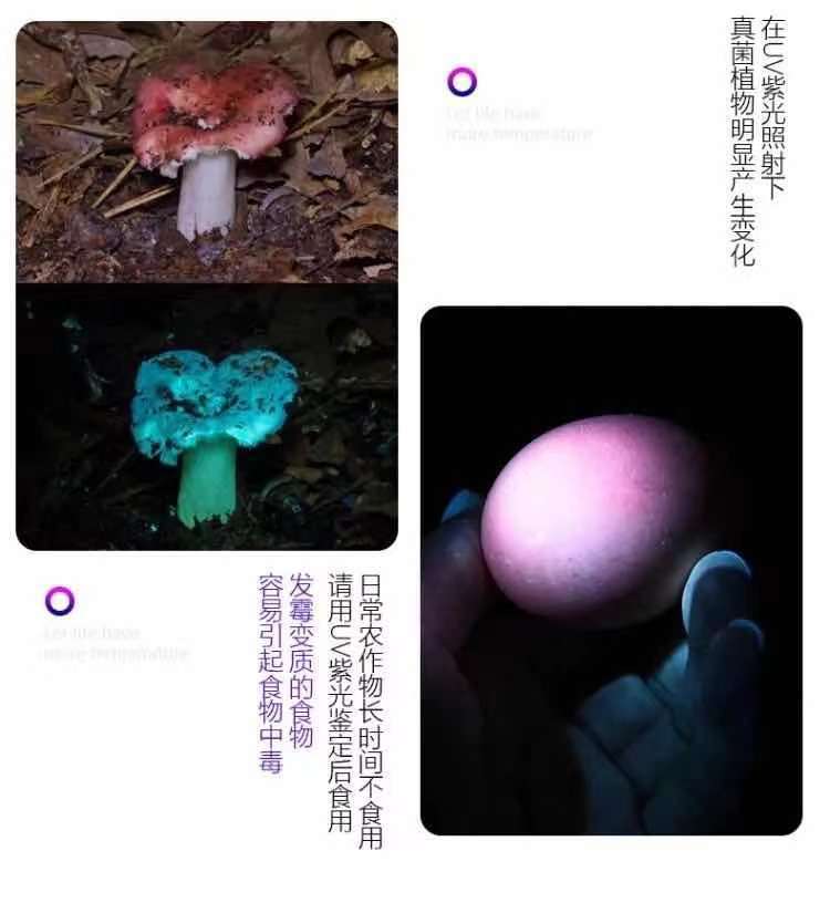 44a4f362-0bdd-40dd-9c28-ce5e59df3da0.jpe