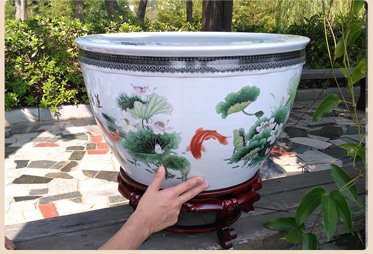 a64f703b-c6b9-4970-b5a7-b464f1e30c7f.jpe