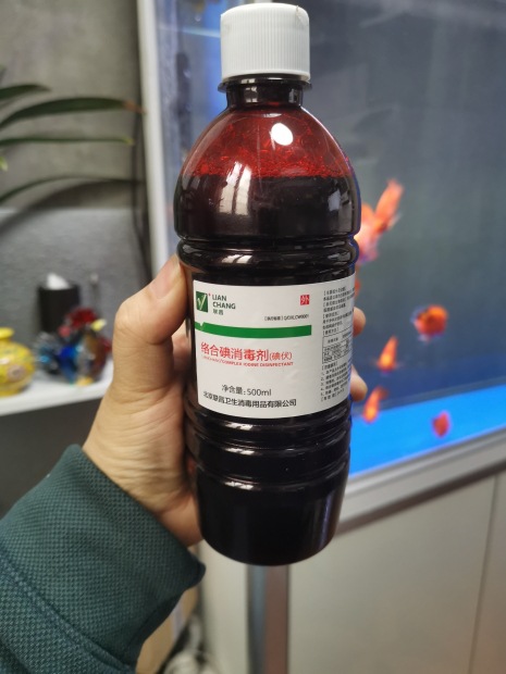 微信图片_20230315115718_副本