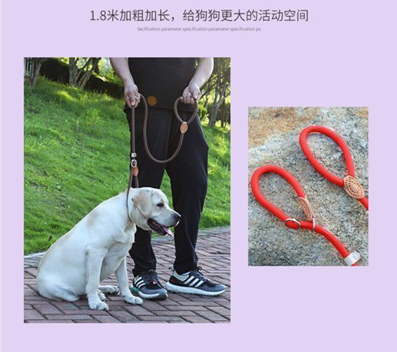 008f2f12-b489-482f-bd7e-aee1e22610fa.jpe