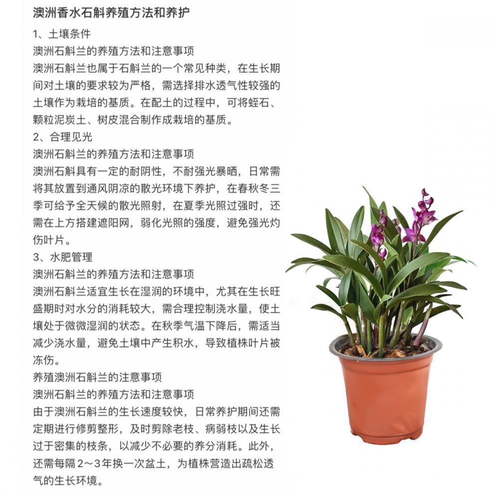 ddfd3c5533a4ee6654d8b12414acf011.png