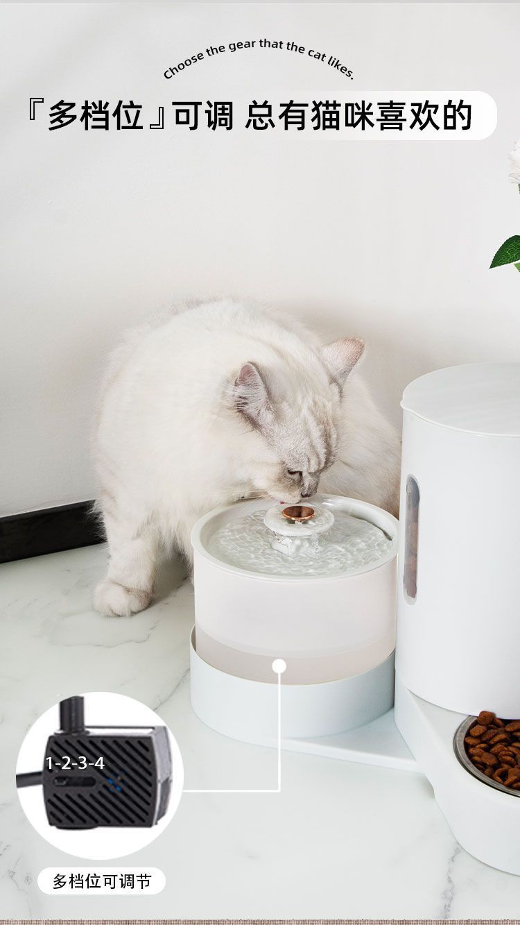 bcf90c4e-bdf7-4b46-8867-44835b254217.jpe