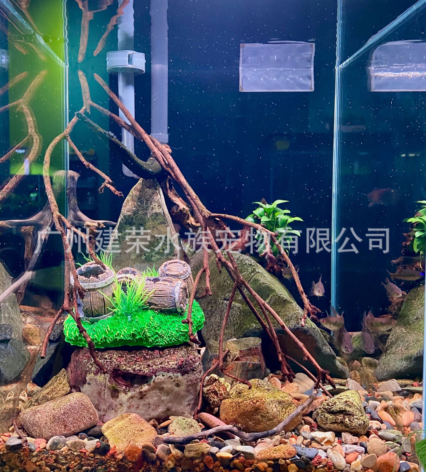 微信图片_20240101115738