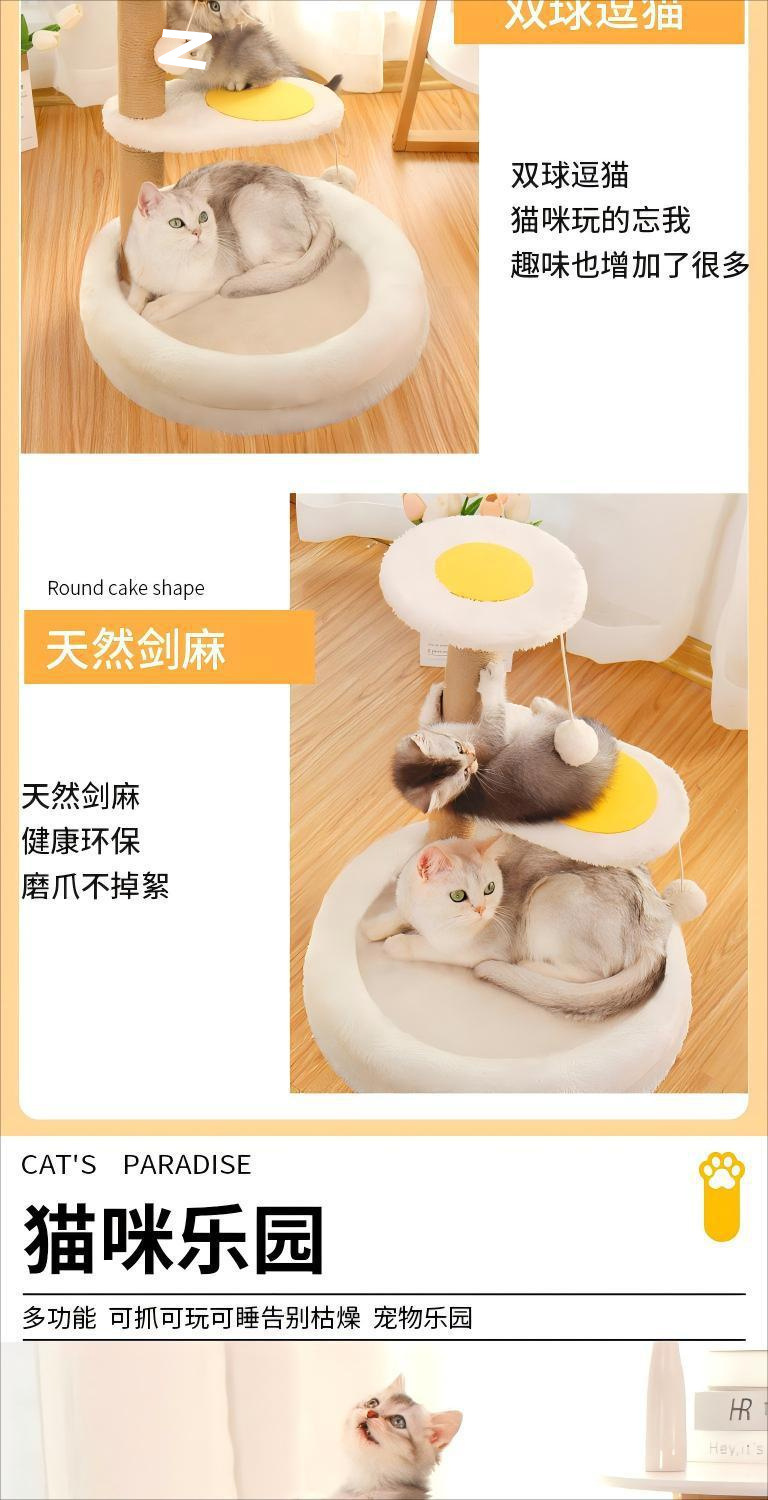 14d81d59-5a70-4c72-9669-6fa175e26b93.jpe