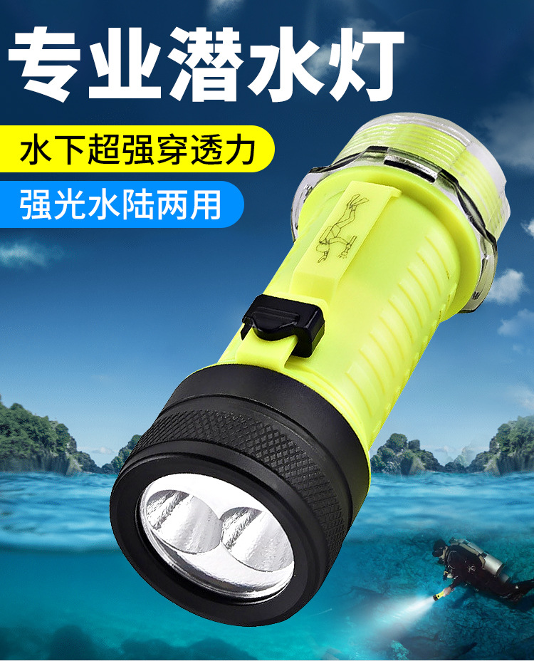 详情_01.jpg