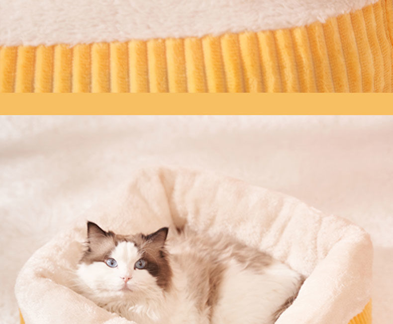 31220f82-df3e-4234-b7b7-c1aba940fcf7.jpe