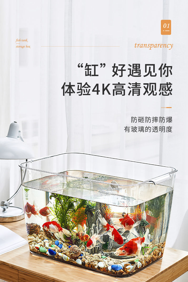 9049dd1c-91b2-4680-922e-0da91b774905.jpe