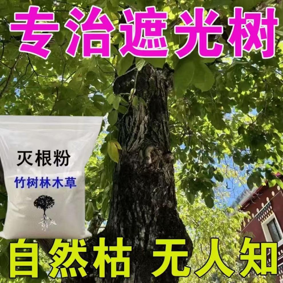 992d3062-9edb-4d45-8381-23a7f2270ac4.jpe