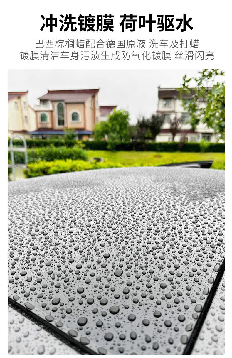 77164dac-e561-47f0-9b06-6875a68053a9.jpe