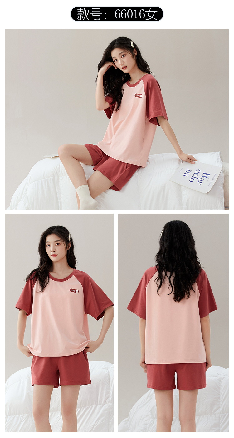 66016插款图