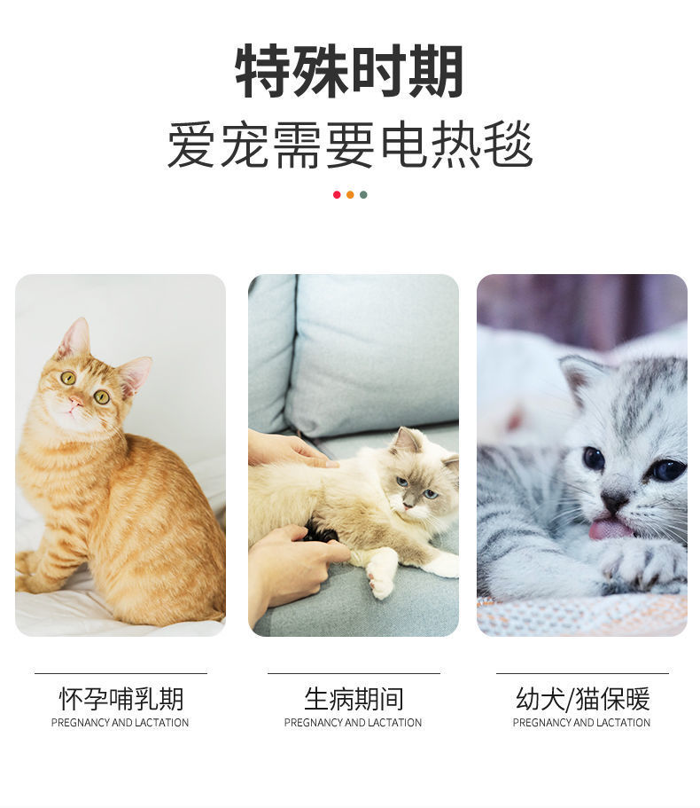 f9eede7c-7d39-4c0e-a1ec-17c57c765350.jpe