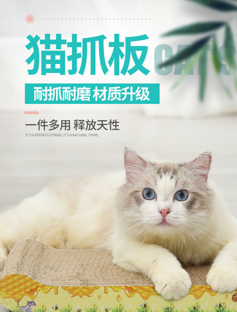 d2f9b196-d4ca-4ac6-a833-1b76e06bdb27.jpe