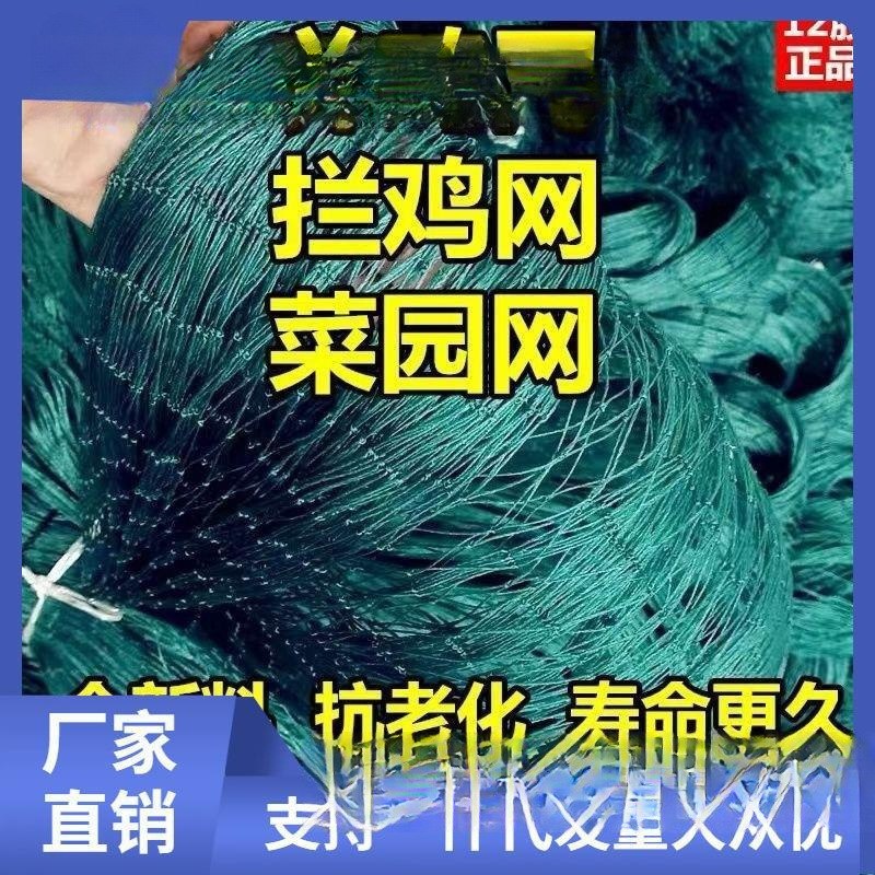 O1CN01ITW30L1R5Wru5rKy1_!!2218256352060-