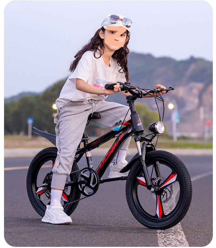 O1CN01z4QlDA2EyPZusMFlH_!!2218134278813-