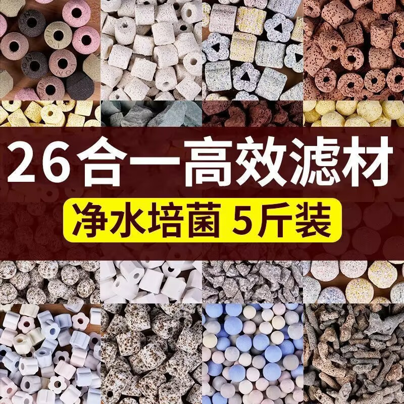 cea461c7-d961-440b-a23c-e63e9e177273.jpe