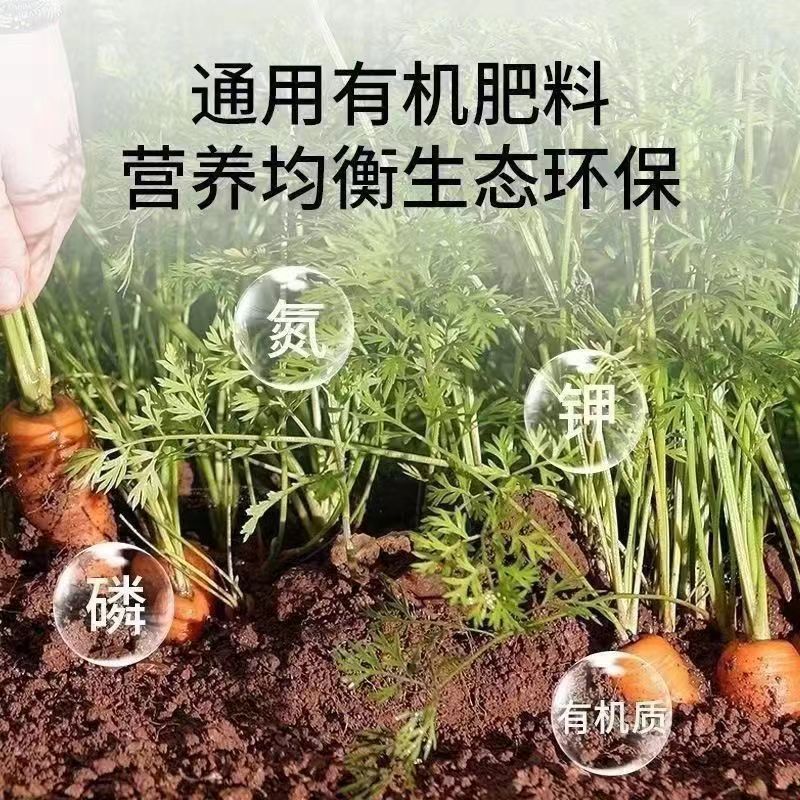 f9bad404-17e6-473e-8d19-a4e874885cbe.jpe