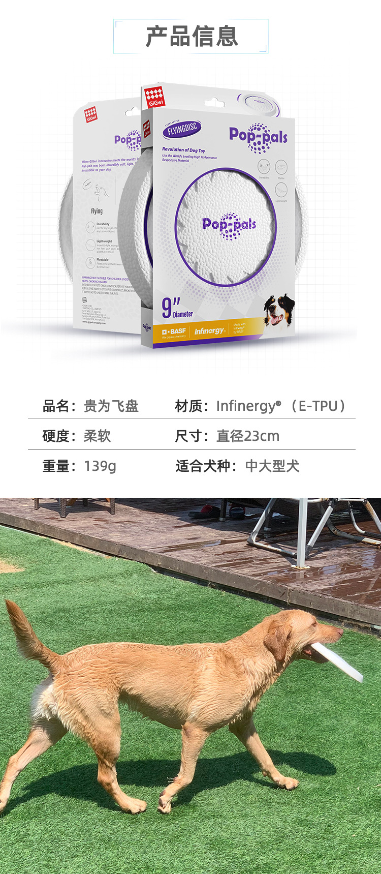 详情-13