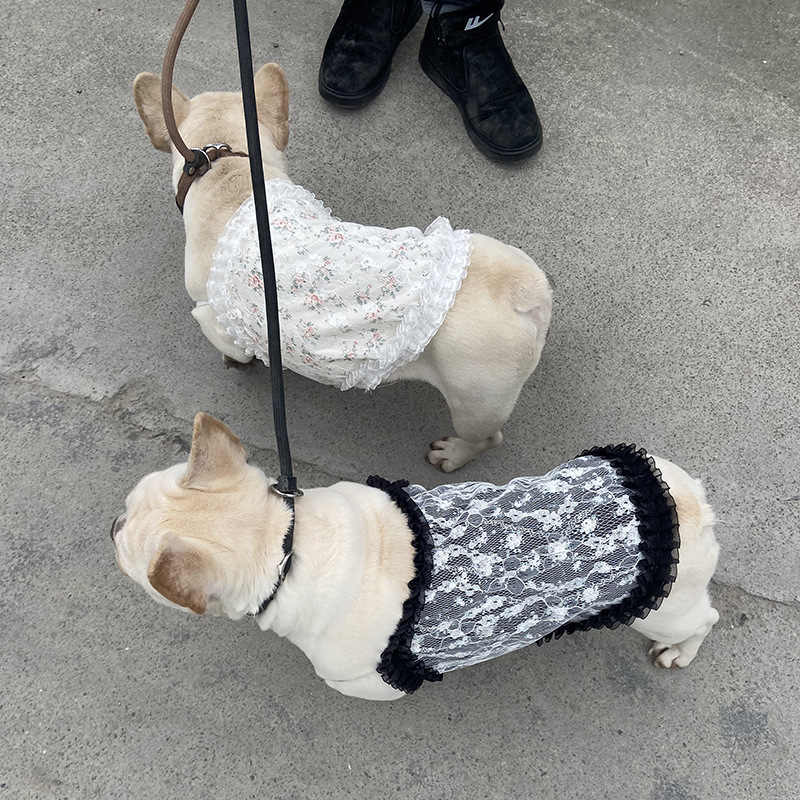 微信图片_20220114212223