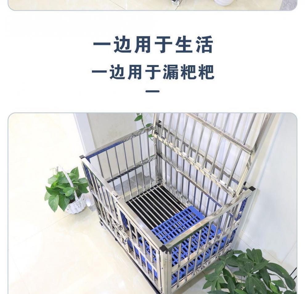 20eb1192-ba66-4e46-a178-352fab0747e6.jpe