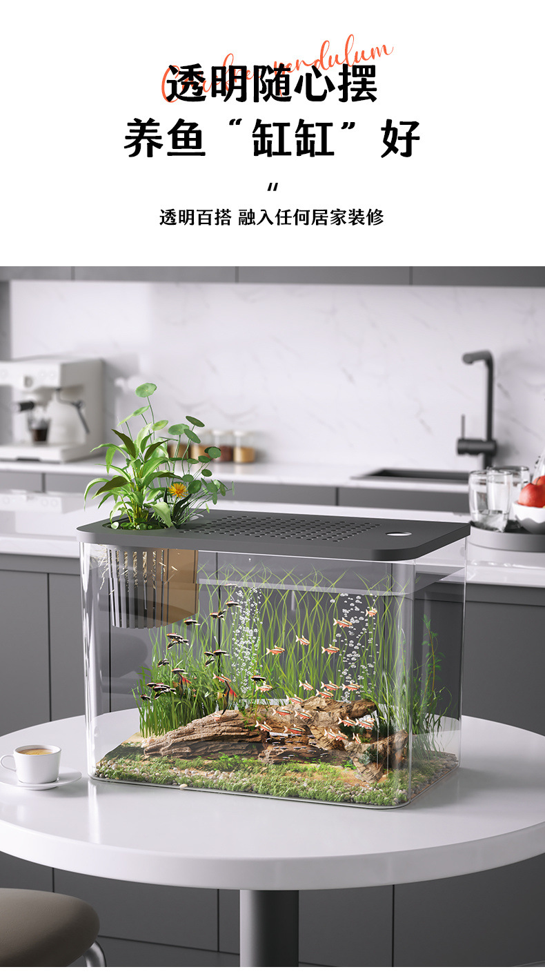 acfca266-2203-4b64-9db1-4ebdf1de8daa.jpe