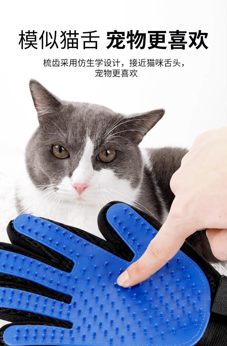 5cf64009-1b7e-4585-adeb-0dd8d3be9f03.jpe