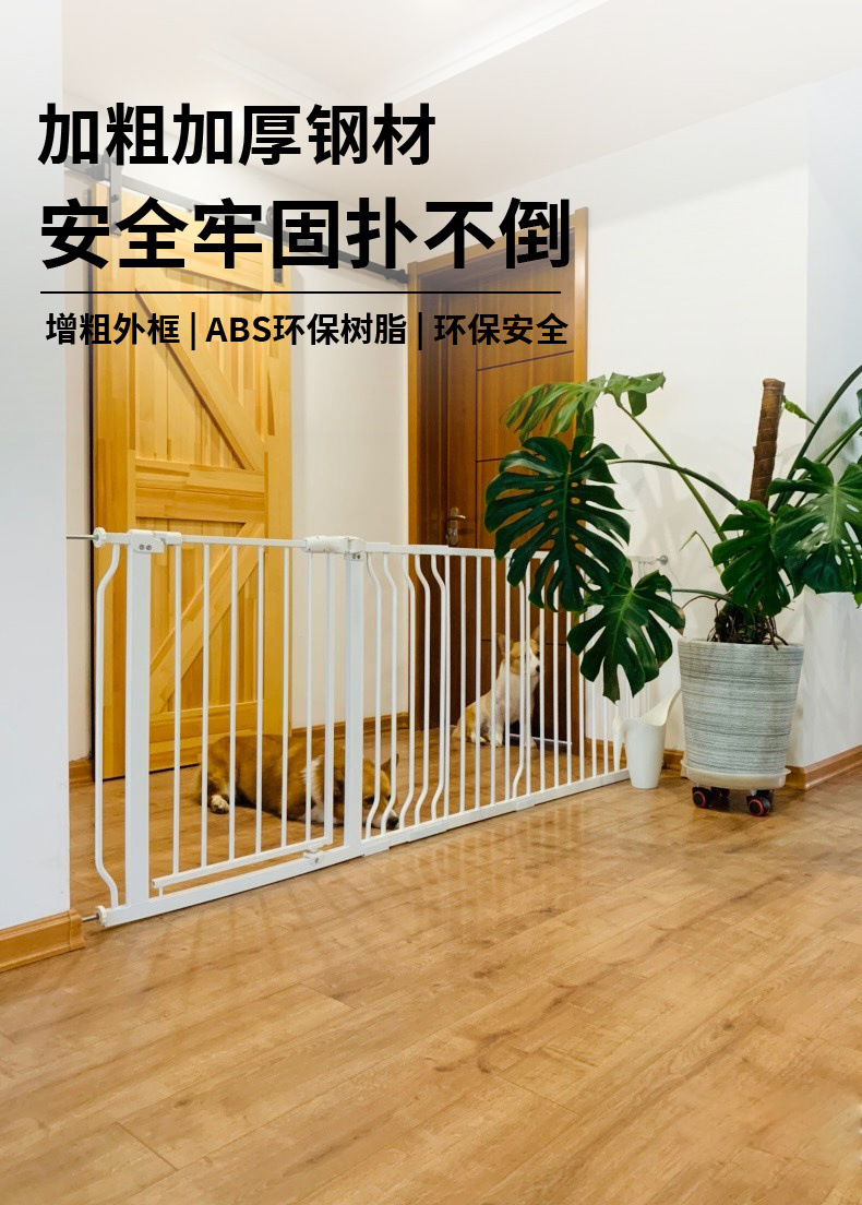 340bb4d3-4fea-4f4d-a635-d5dbc01690d9.jpe