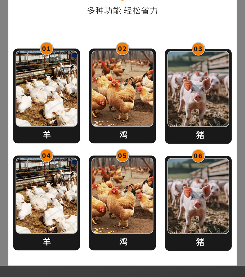 详情_06.jpg