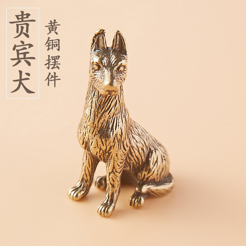 贵宾犬4
