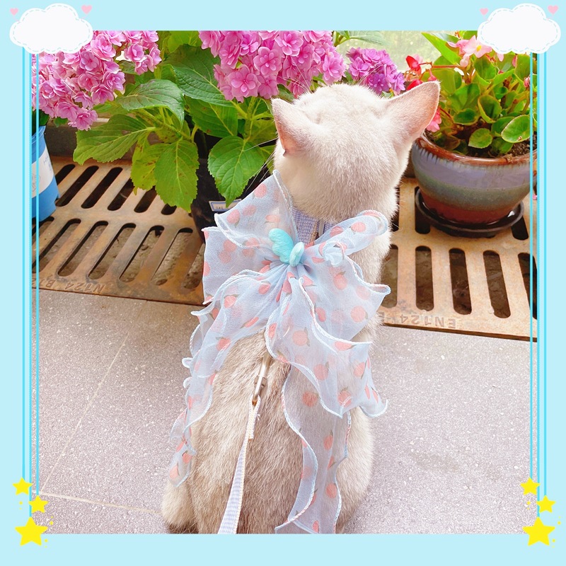 IMG_4739(20220617-183003)_副本