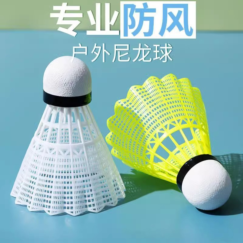 羽毛球 (24)