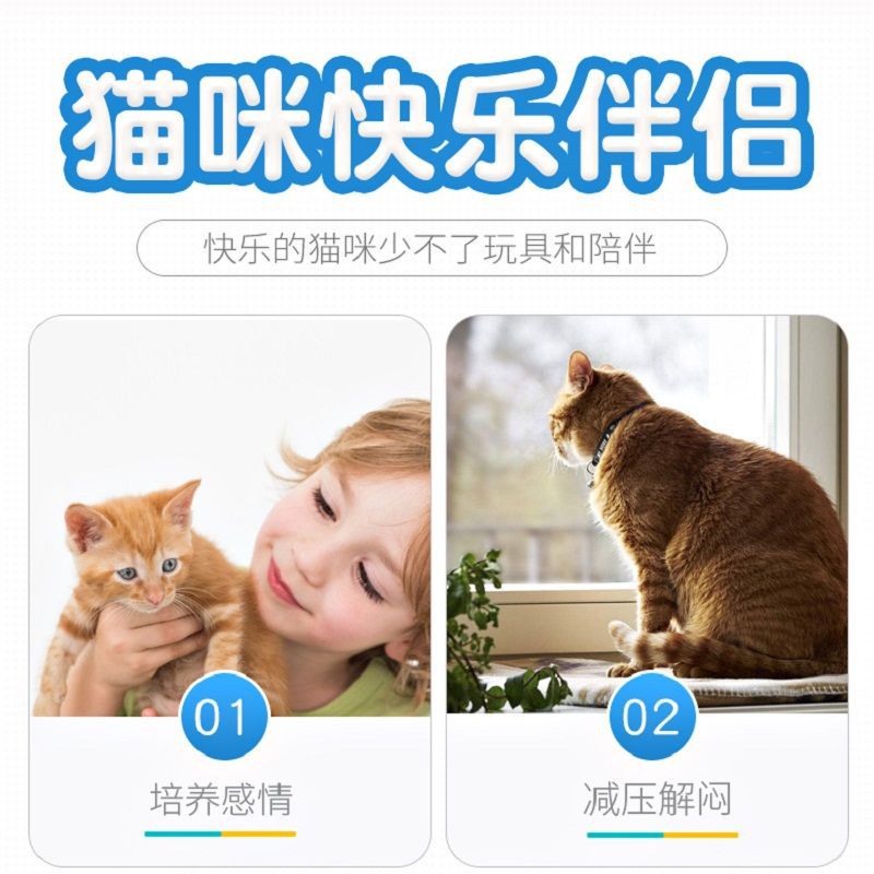 ba80a0d4-a21b-4a2b-9249-cb5475